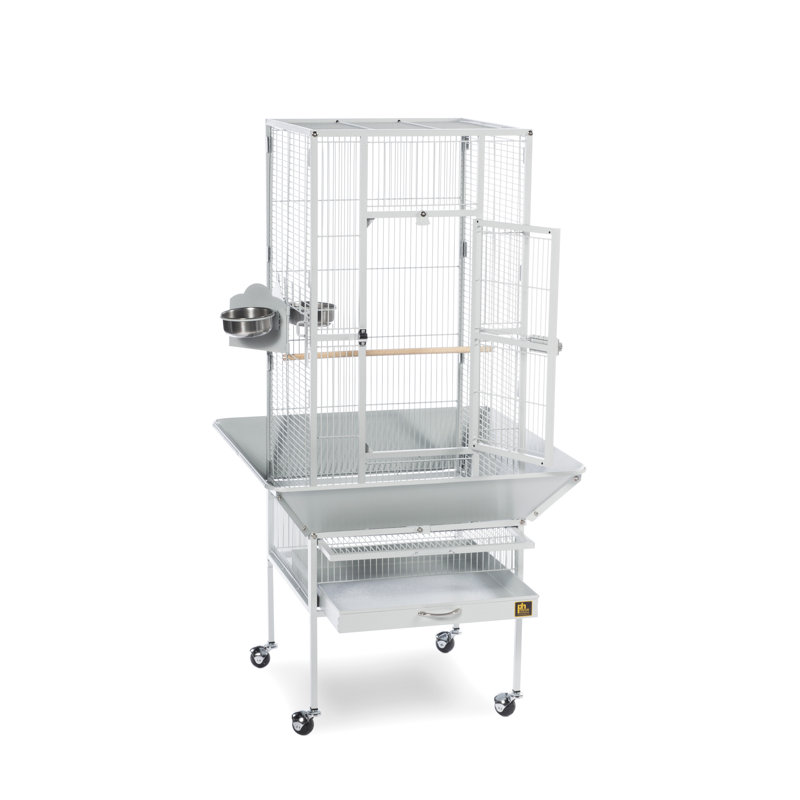 Cage à oiseaux en acier à toit plat avec roulettes Hester, Étain, H 49 po x l 18 po x P 18 po 
