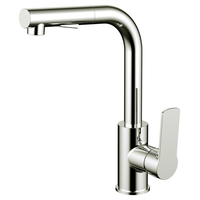 Daweier Pull Out Kitchen Faucet