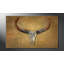 Bull Skull - Wrapped Canvas Print-498920121-499112714