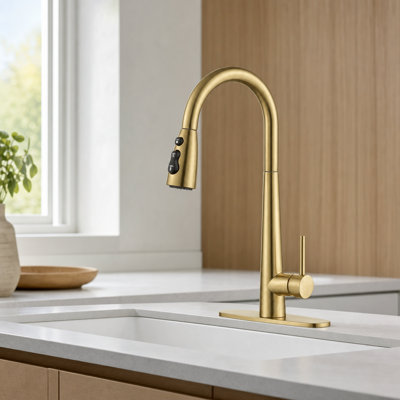 WESTINUS Pull Down Kitchen Faucet