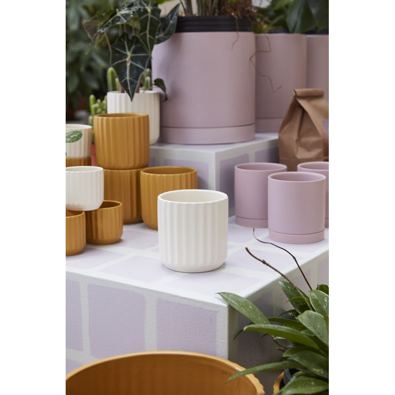 Beam Pot 4.75"x 4.5"
