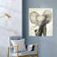 Animaux, bébé mignon, éléphant, fleur de zoo - impression d'art graphique-50963392-50963395