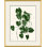 Sea Green Palm Giclee Print by Susan Hable