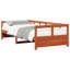 Egan Solid Wood-1344639261-1344639238