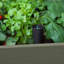 Keter Darwin Elevated Garden Bed - Green