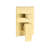 Wall Mounted 12" Shower Head - Brushed Gold Bathroom Enticing Quality Self-Cleaning Nozzle Within Enchantment Inserted