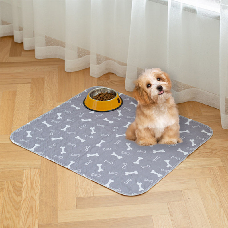Tapis de dressage lavable anti-fuites super absorbant pour chien et chats 31,5 x 35,4 po, Gris