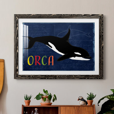 " Orca "