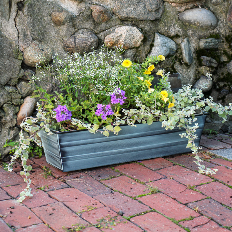 Small Blue Galvanized Metal Wall-Mounted Planter Box