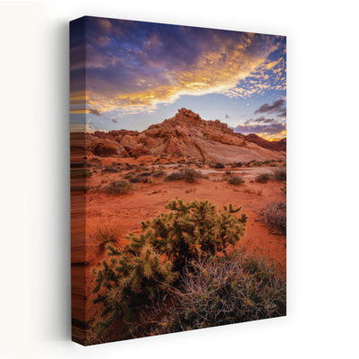 Coucher de soleil dans la vallée du feu, art contemporain de paysage de cactus contemporain