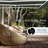 ALEKO Motorized Retractable Outdoor Awning with White Frame-111027053-111027055