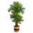 72'' Faux Palm Tree in Planter