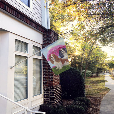 Drapeau de maison Hvidovre Sheltie Halloween en polyester à 2 faces 3 x 2 pi