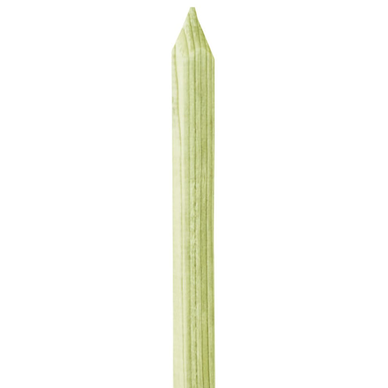 Peterman Plant Support