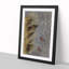 Two Birds by Shibata Zeshin - Framed Print-55614866-55614865