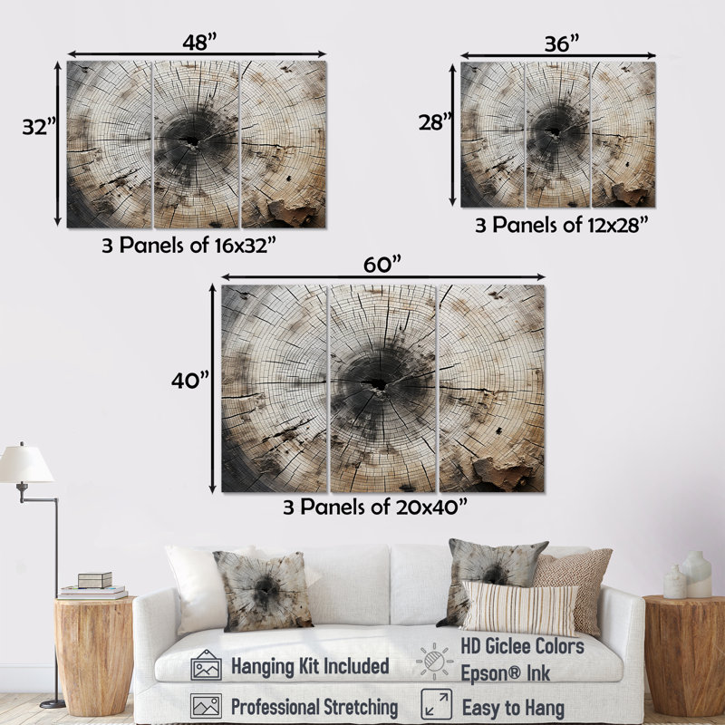 Tree Cut Stump Beauty - Ensemble de décoration murale arbre séquoia, Toile tendue, H 40 po x l 60 po x P 1 po