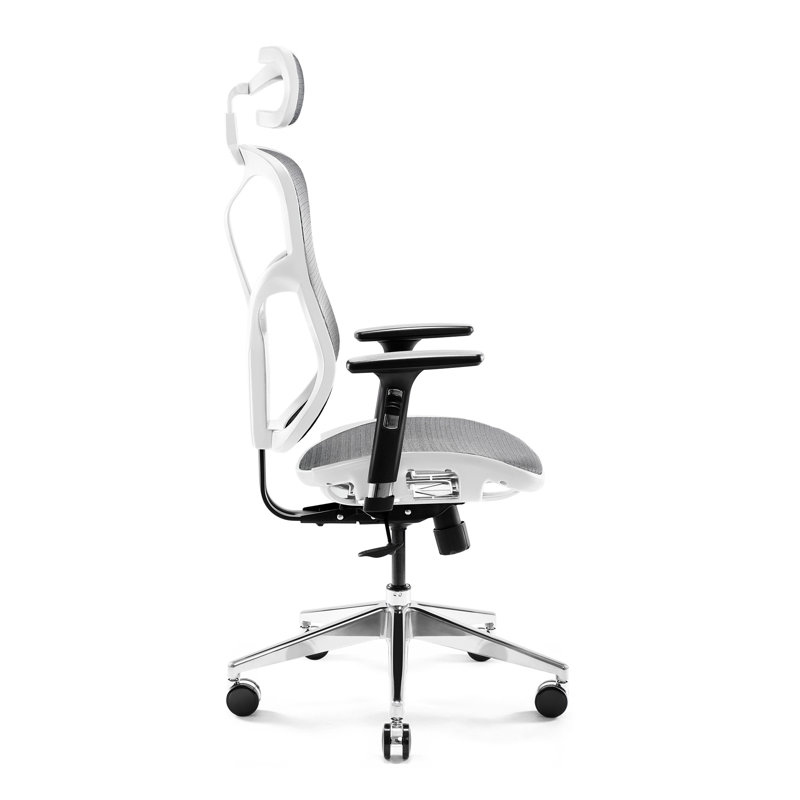 Office Chair, Gray/White
