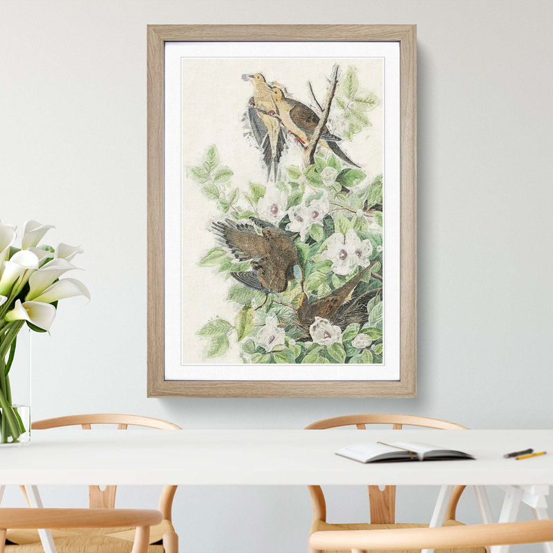 Carolina Pigeons by John Audubon - Picture Frame Painting Print, 65cm H x 48cm W x 2cm D, Oak Framed