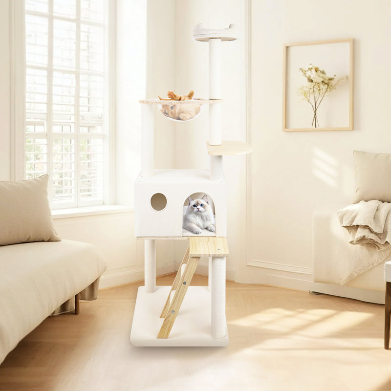 Arbre à chat en bois avec grande échelle en bois et vaisseau transparent 165 cm