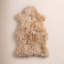 Lalo Sheepskin Area Rug-1625574373