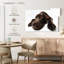 Labrador brun chocolat Brampt-107869033