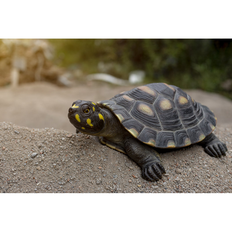 Figurine turtle tacheté