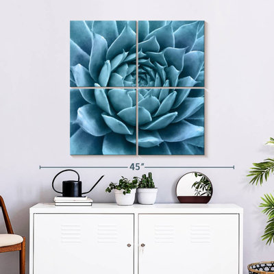 Agave bleu argenté Harnek