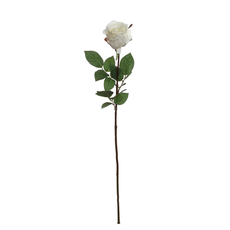 Tige de roses, Blanc, 2
