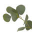 Faux Eucalyptus Tree-Faux Eucalyptus Tree-7'