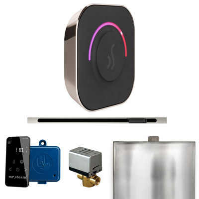 ButlerTouch Steam Shower Control Package with TempoTouch Control and Linear Steamhead 