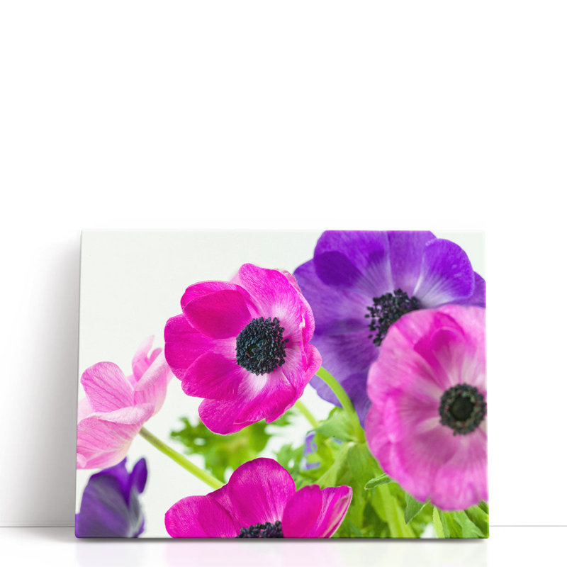 «Bunch of Anemone Flowers», reproduction d'art sur toile, H 18 po x l 24 po