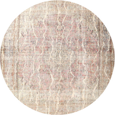 Ciampa Oriental Indoor Rug