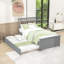 Lit plateforme simple en bois avec lit gigogne simple-1632166167