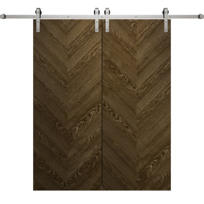 Porte de grange double moderne 84 x 96 pouces Ego 5005 Chêne marbré, rail argenté de 14 pieds, portes intérieures à panneaux pleins