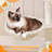 Gilmour Cat Tree-207286149