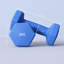 Rubber Dumbbell