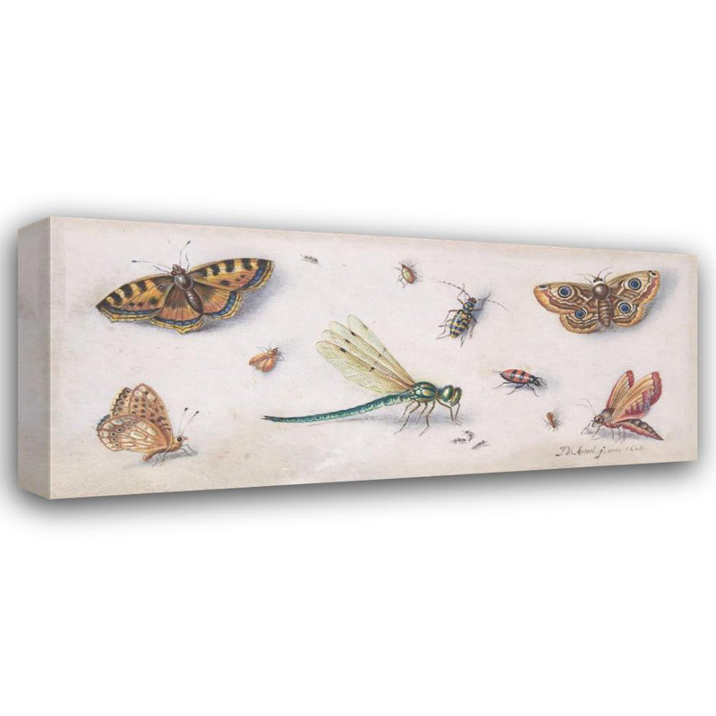 "Insectes, papillons et libellule" par Jan Van Kessel The Elder - Art sur toile tendue avec châssis, H 33 po x l 48 po