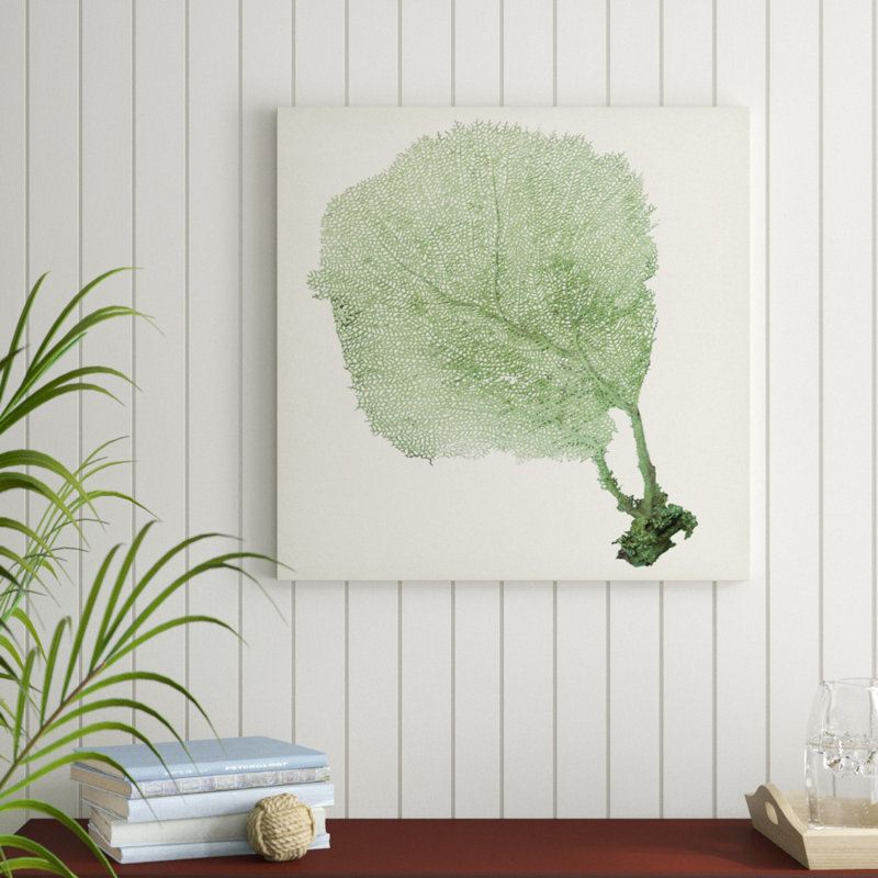 «Sea Fan II», peinture sur toile, H 30 po x l 30 po