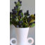 Blackberry Fruit Faux Floral-259805600