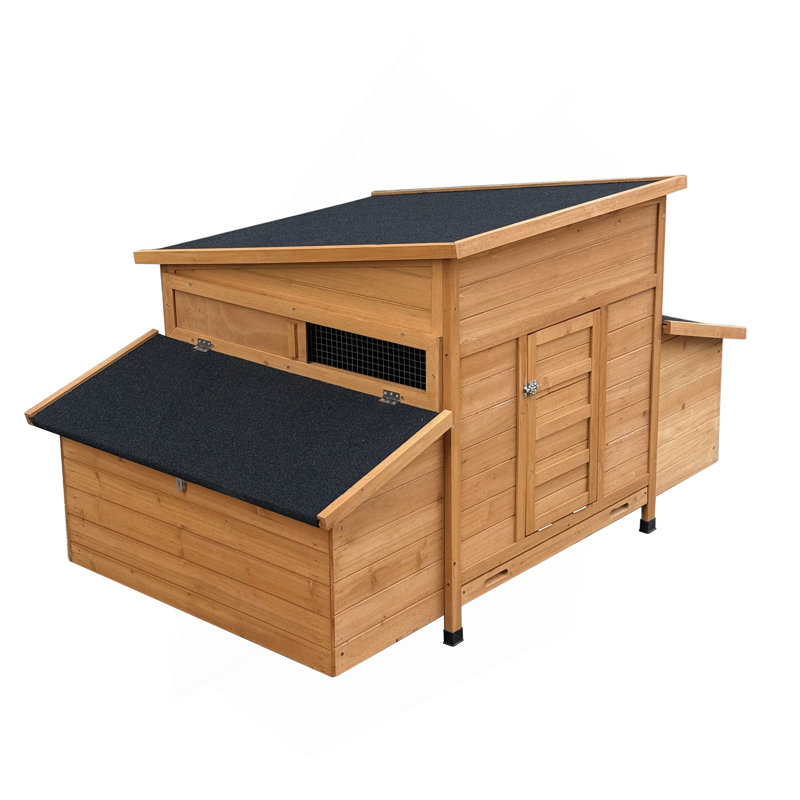 Poulailler moderne