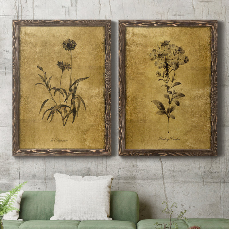 Croquis doré Botanique I - Cadre photo, ensemble de reproductions d'art sur toiles, H 24 po x l 36 po x P 1,5 po, Cadre noyer