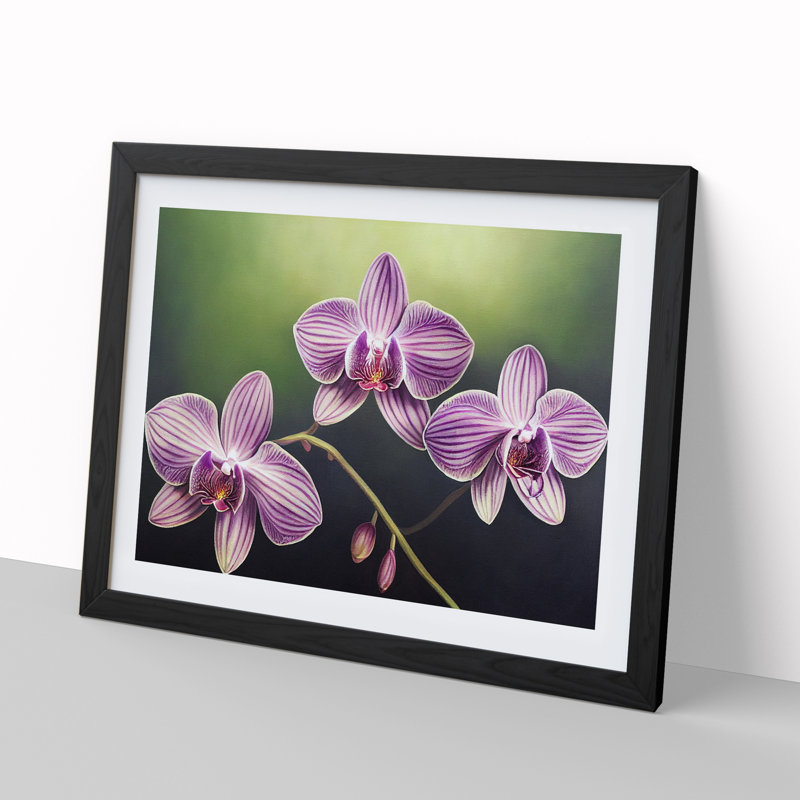 XH1022-8707X Supreme Orchid Flowers - Single Picture Frame Print, Black, 34cm H x 46cm W x 2cm D