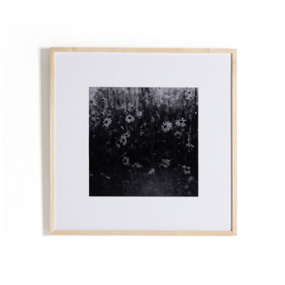 Torr " Floral Film II " by Annie Spratt