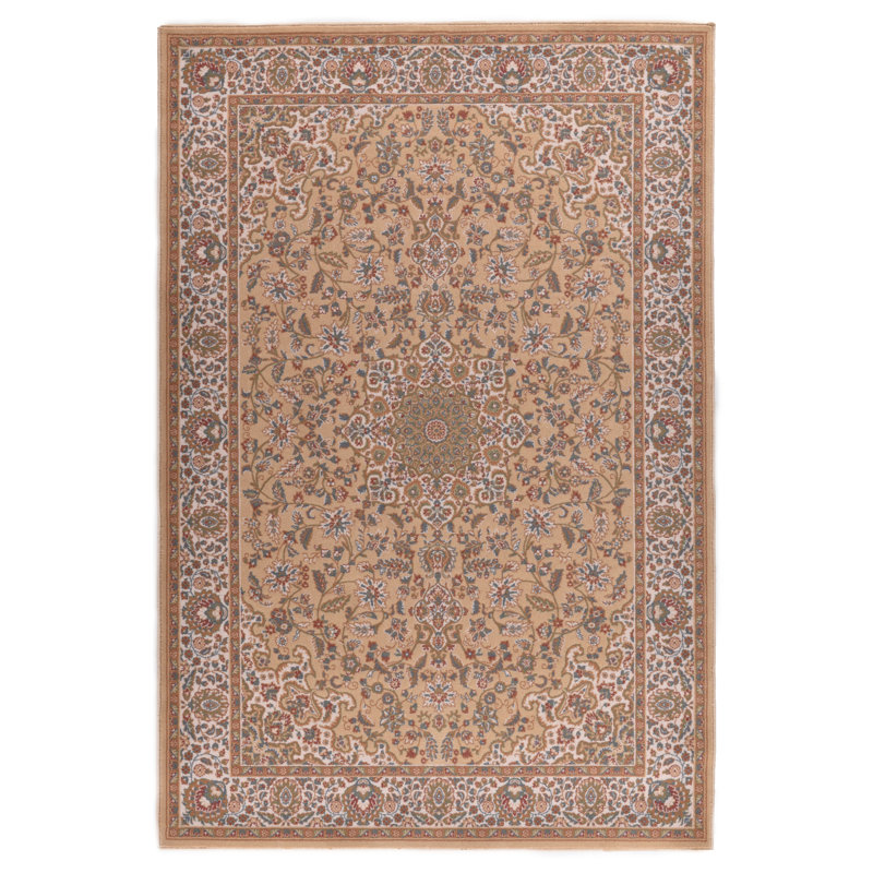 Oriental Area Rug, Rectangular 240 x 340cm