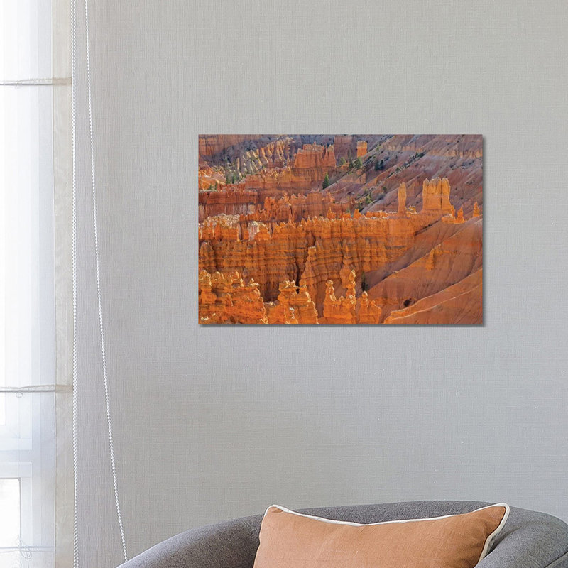 Utah, Bryce Canyon National Park. View Of Canyon With Hoodoos by Jamie & Judy Wild - Wrapped Canvas Print