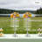 10PCS Flower Stand -97914784