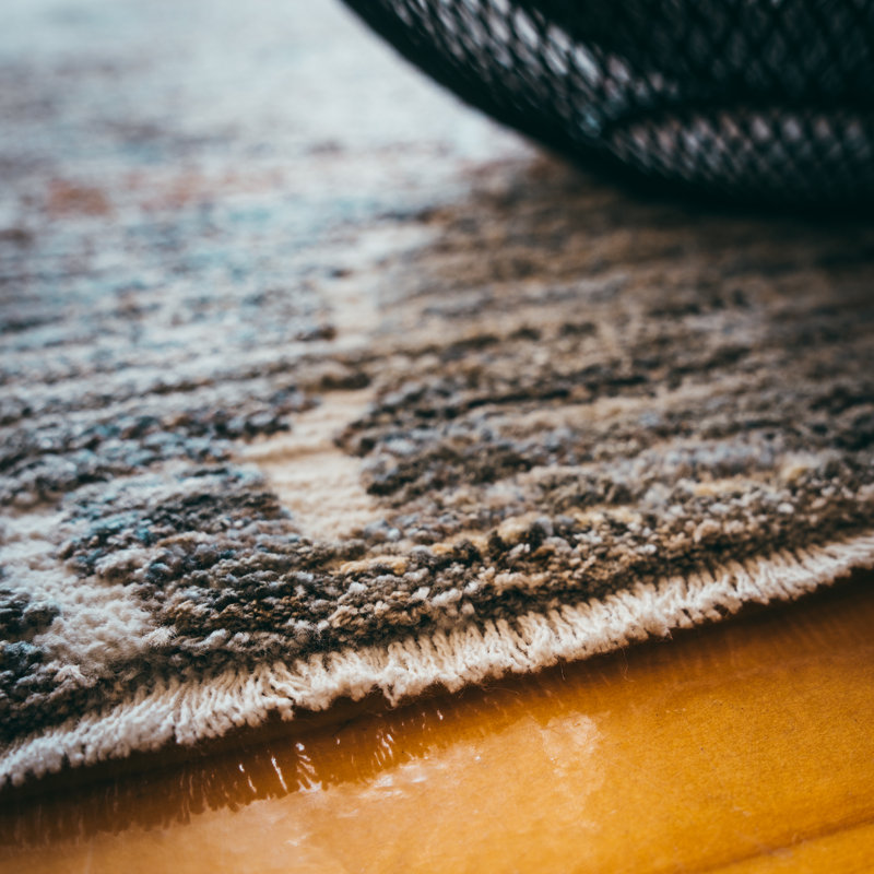 Angelese Uni Area Rug, Rectangular 200 x 290cm
