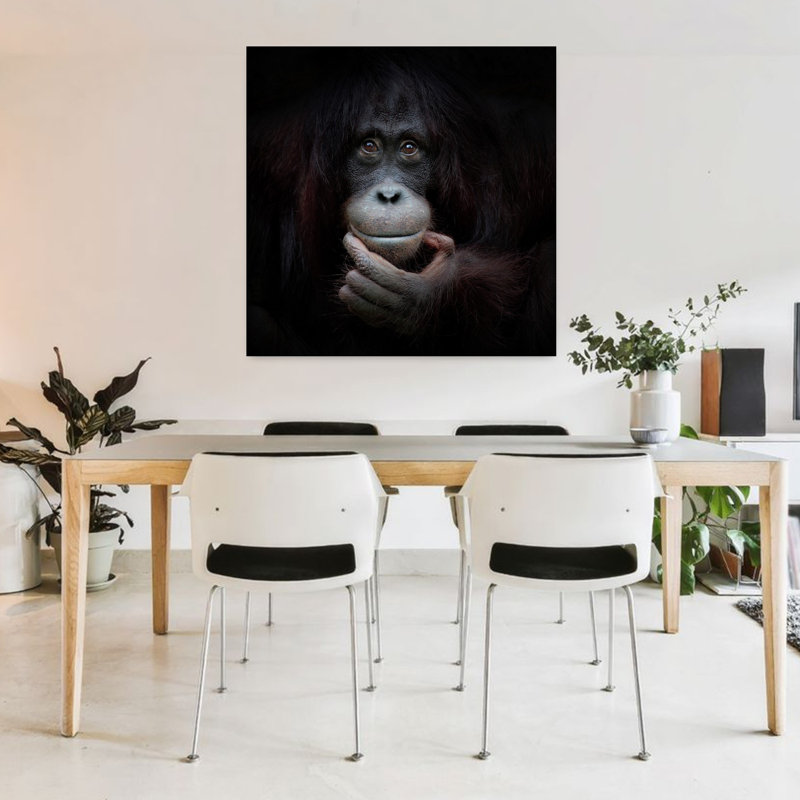 Art contemporain singe contemporain, H 36 po x l 36 po