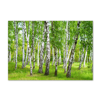 Birch Forest - Wrapped Canvas Print