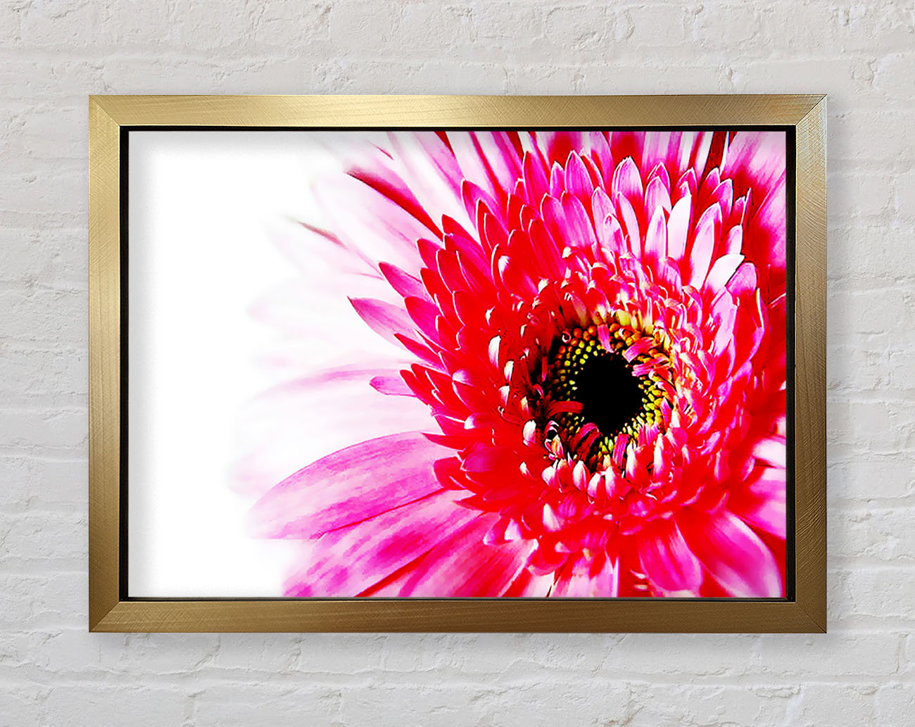 Ebern Designs Stunning Pink Gerbera Petals - Single Picture Frame Art ...